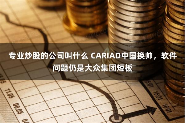 专业炒股的公司叫什么 CARIAD中国换帅，软件问题仍是大众集团短板