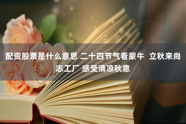 配资股票是什么意思 二十四节气看蒙牛  立秋来尚志工厂 感受清凉秋意