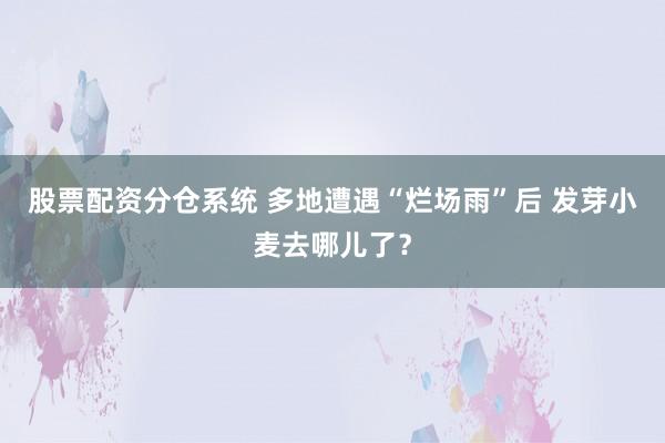 股票配资分仓系统 多地遭遇“烂场雨”后 发芽小麦去哪儿了？
